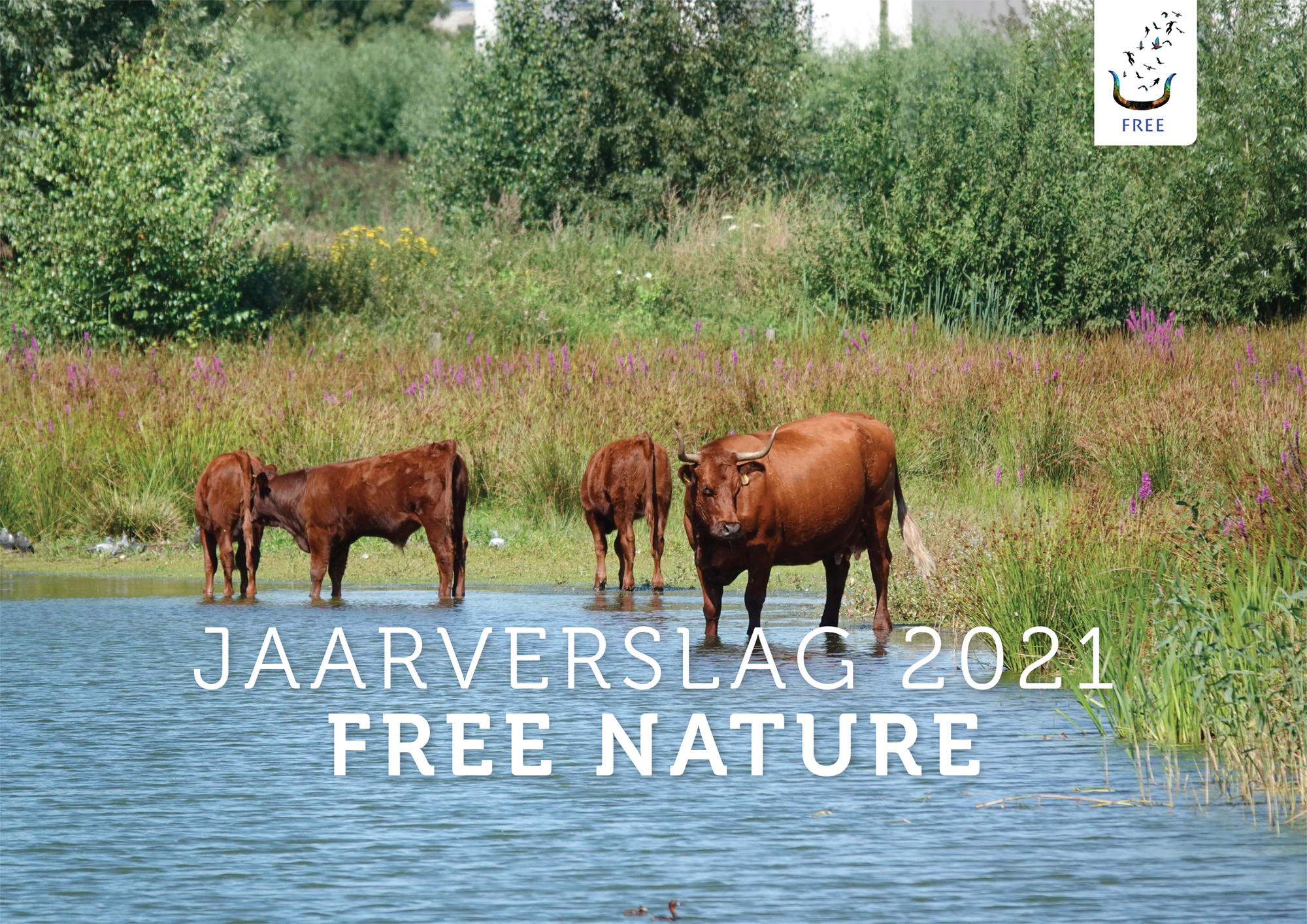 Cover Jaarverslag FREE Nature 2021