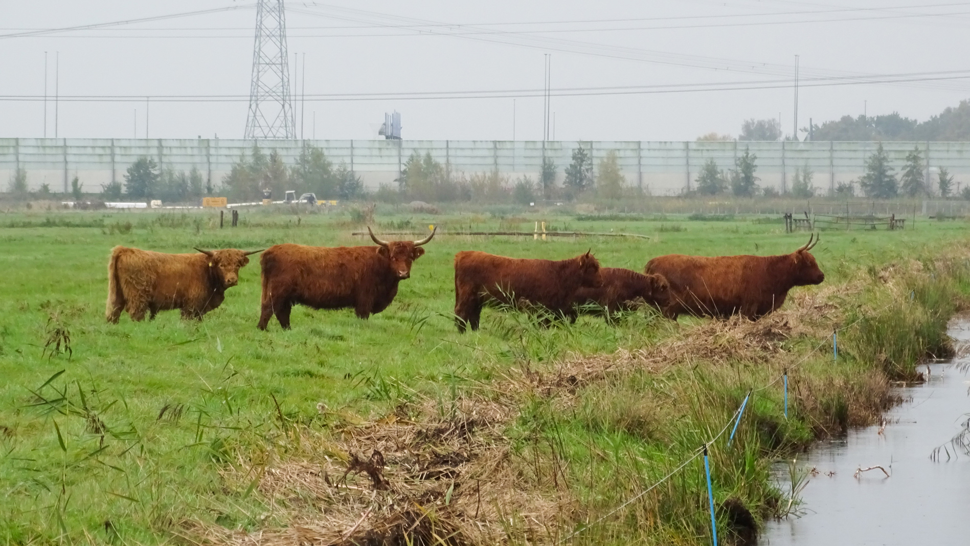 Hooglanders Oude Papenlaan