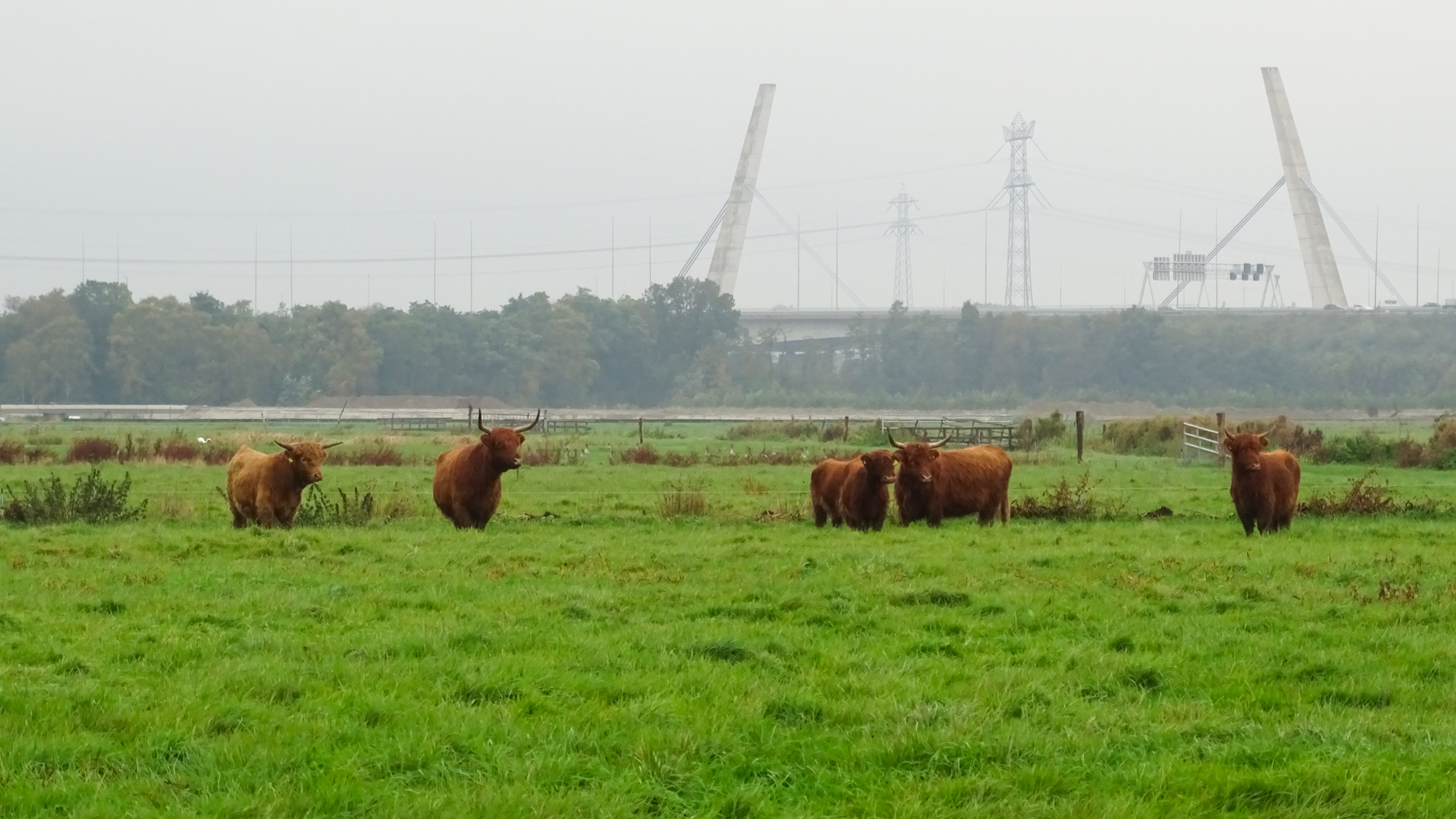 Hooglanders Oude Papenlaan