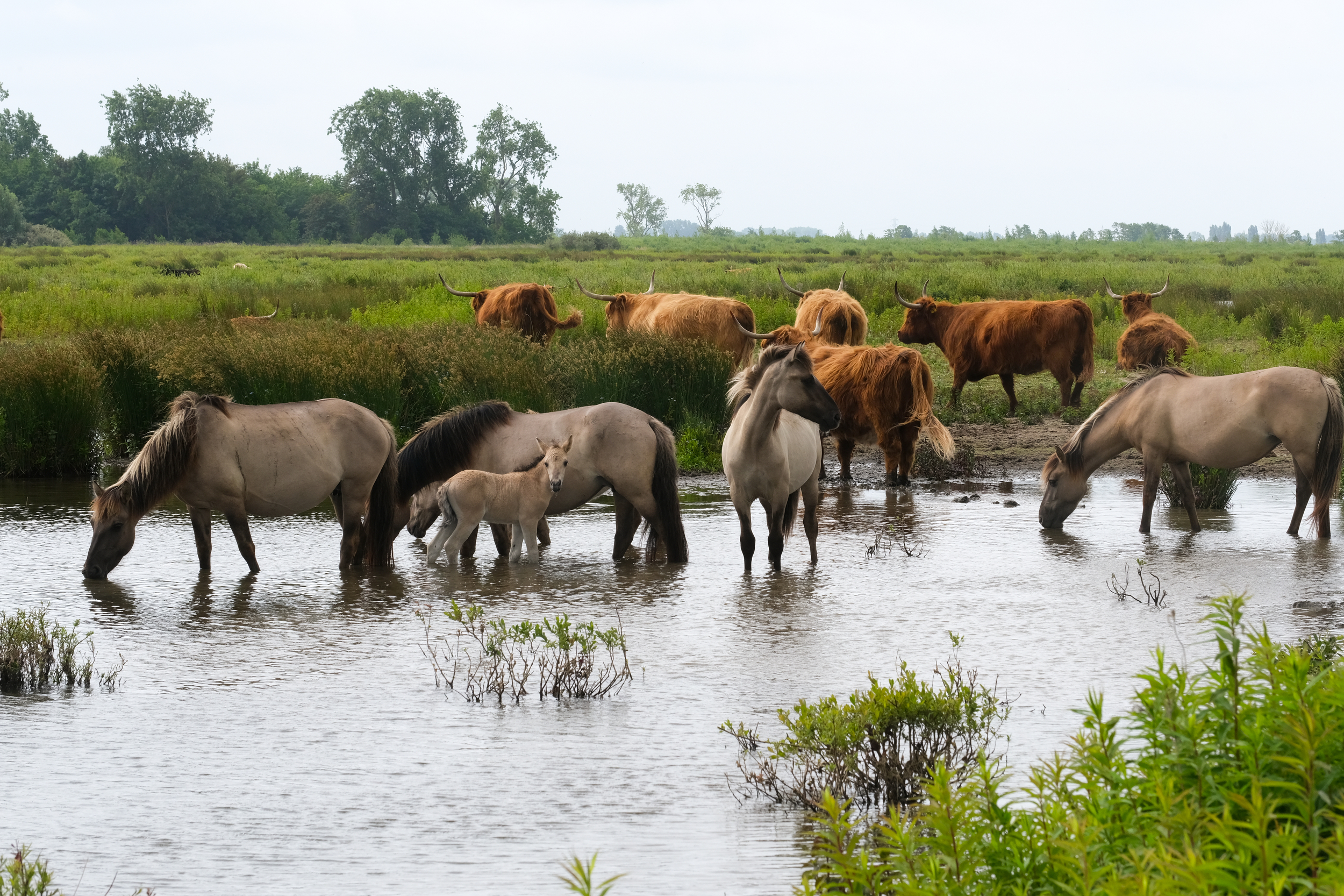 Tiengemeten