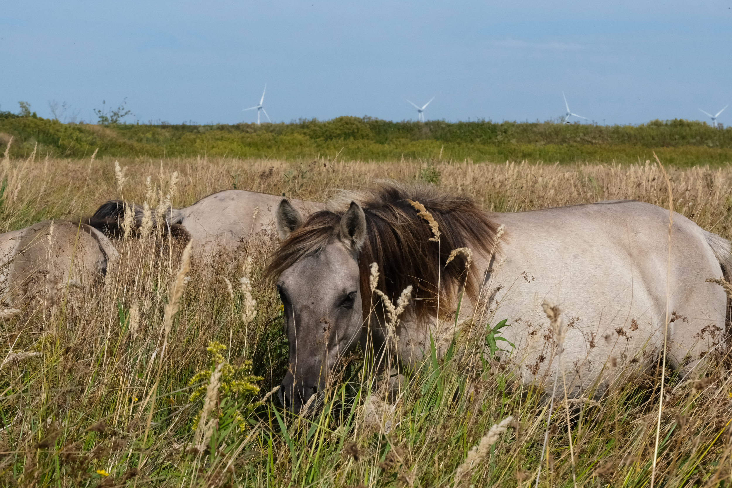 Tiengemeten