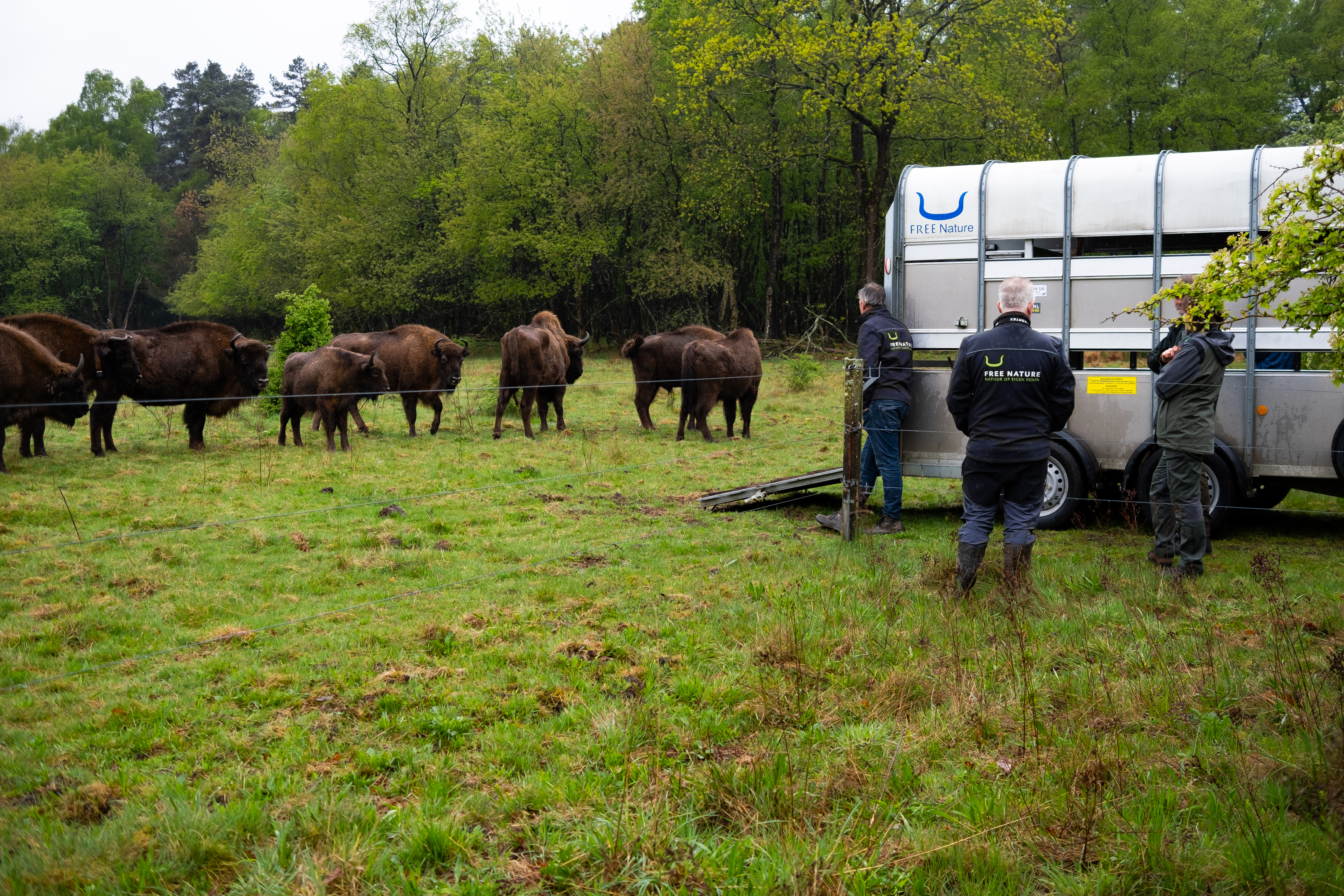 Veluwe