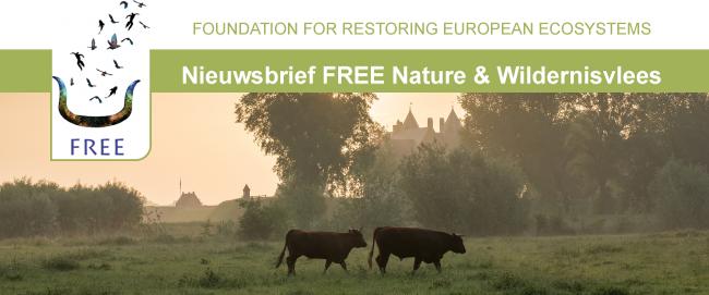 Rode geuzen in schemer in Munnikenland