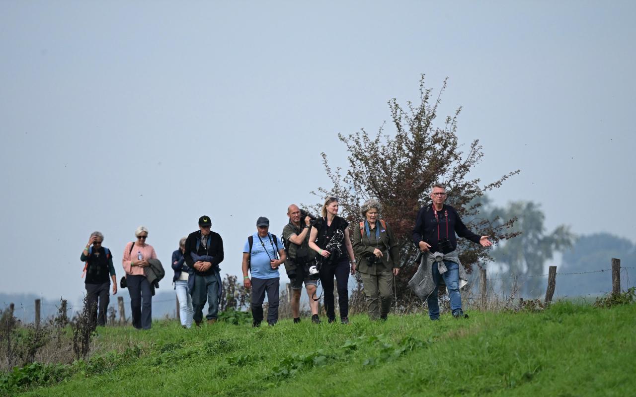 Excursie