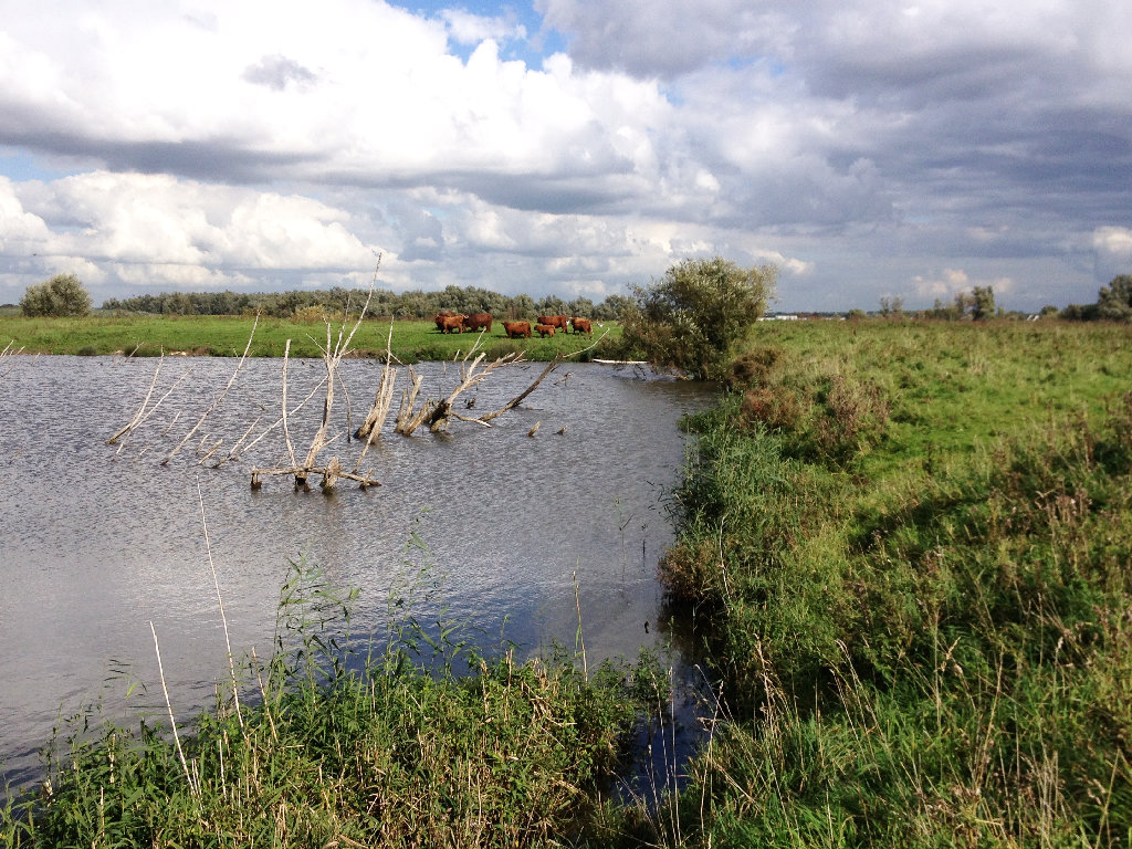 Kuipersveer Puttershoek