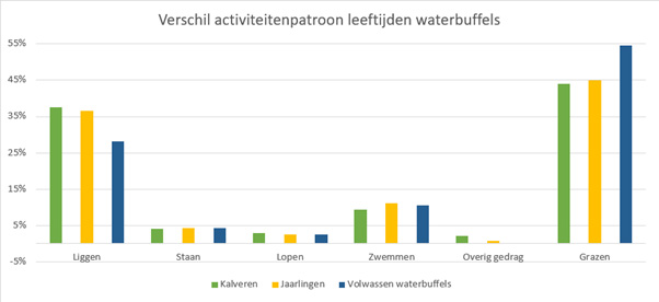 waterbuffel relatie leeftijd