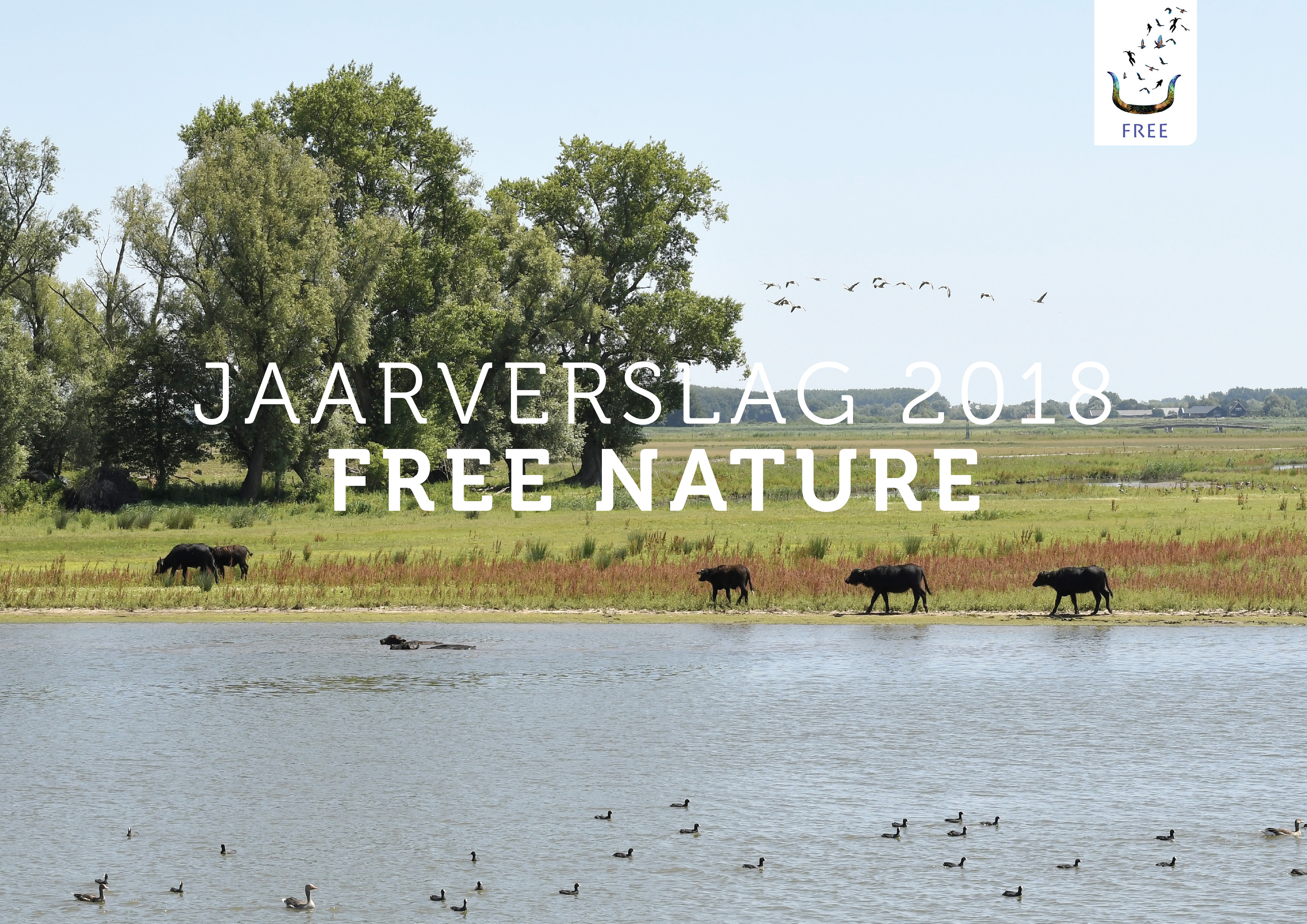Cover jaarverslag 2018