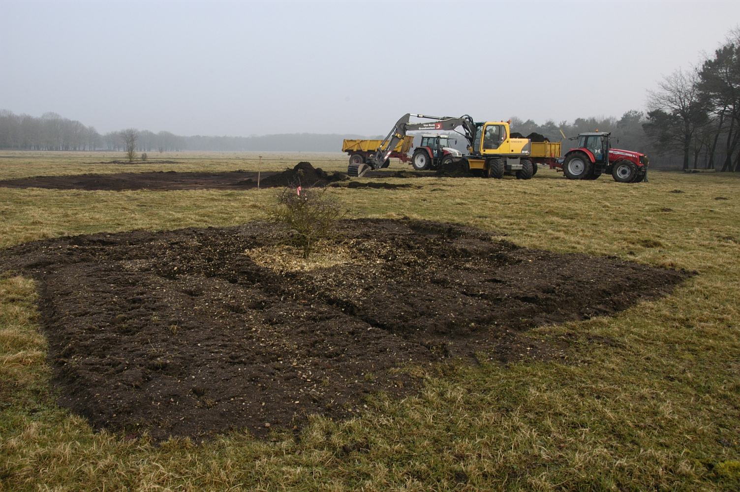 Maatregelen om klauwierbiotoop te creëren in 2012 (foto: Jos van der Wijst)