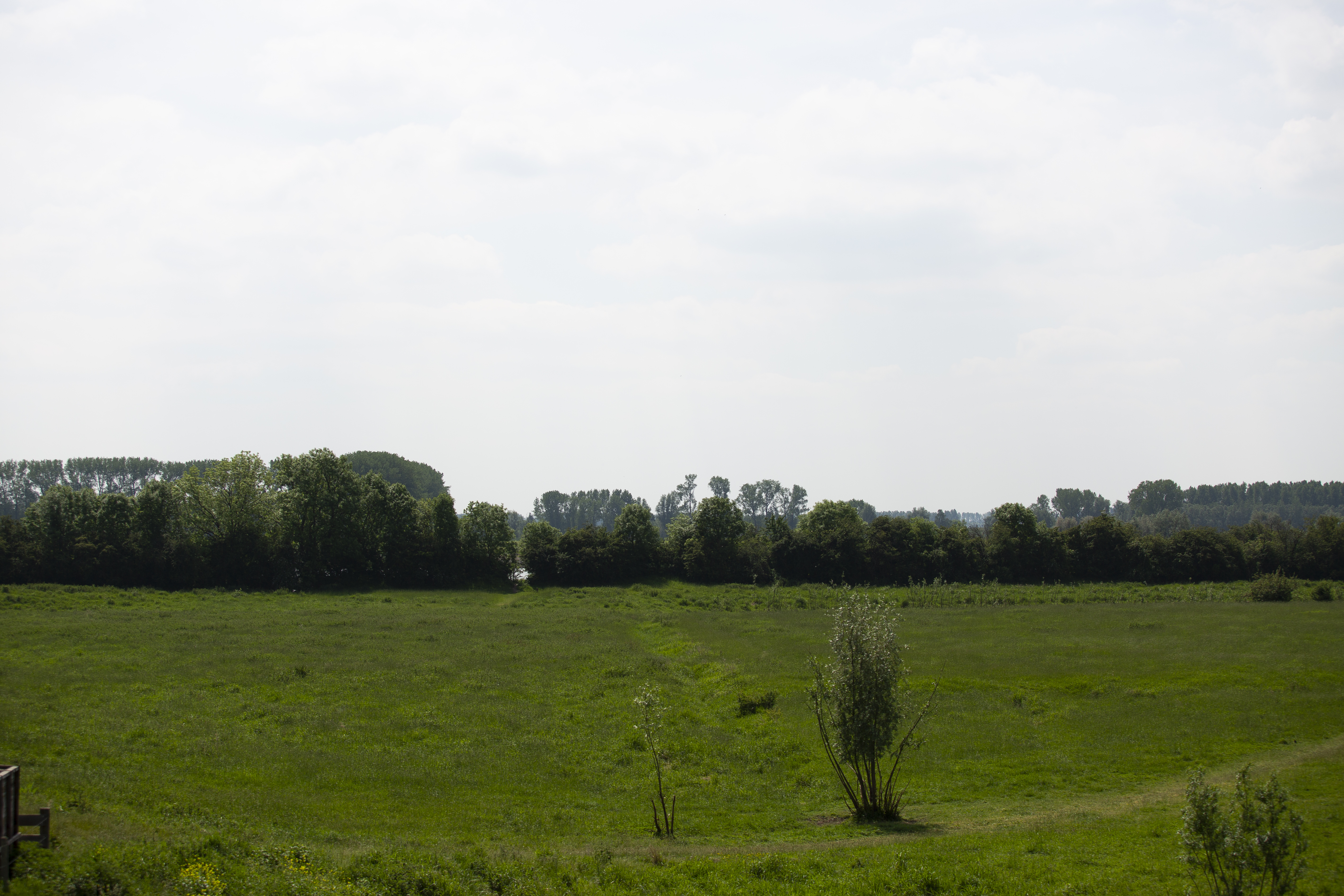 Kleine Willemswaard in Tiel