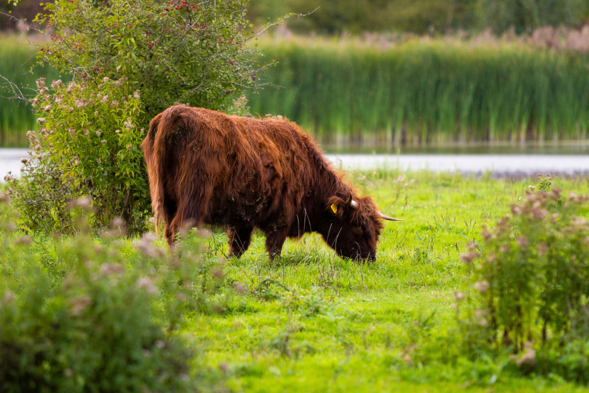 Excursie Horsterwold