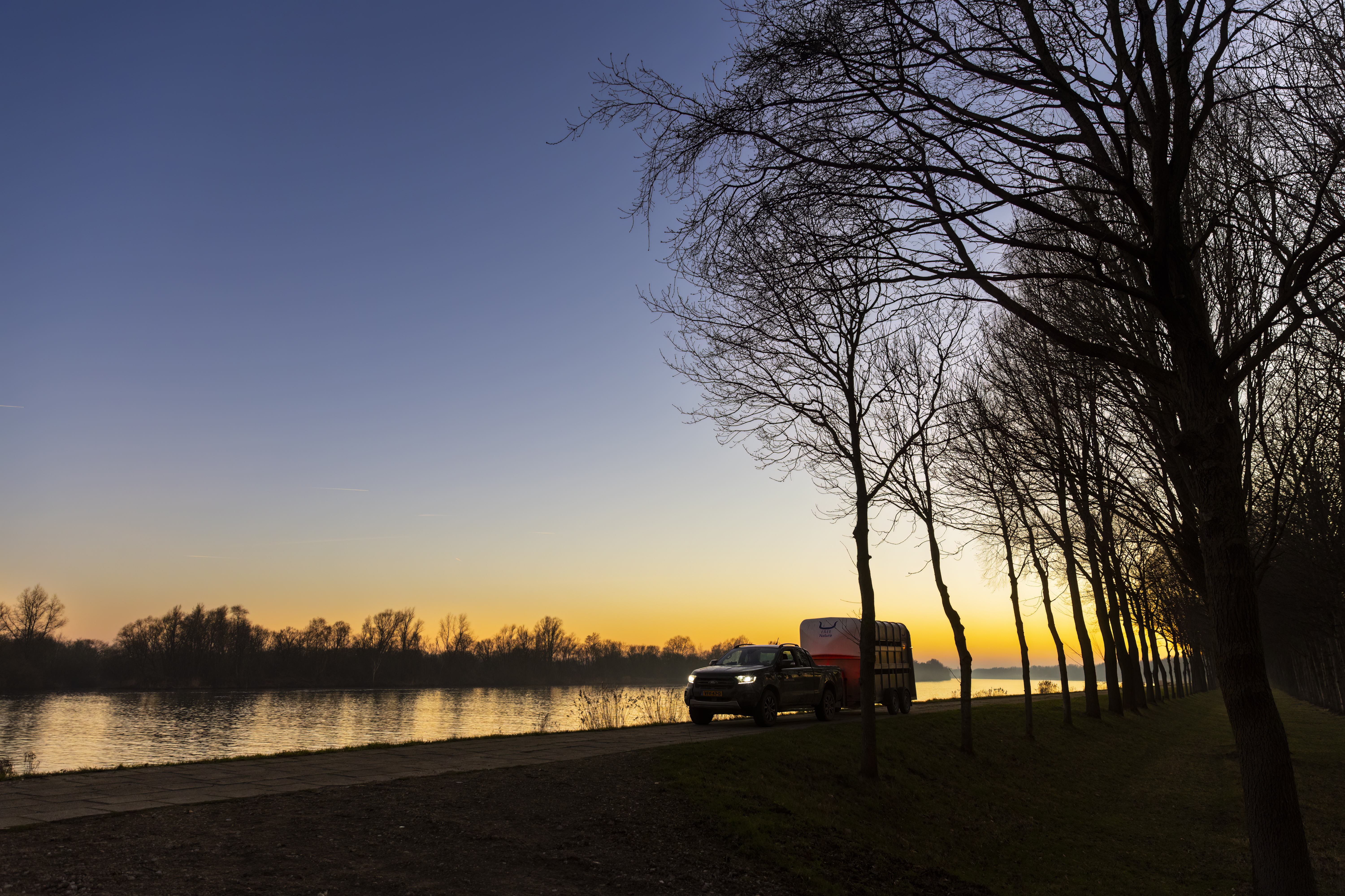 Wisenten arriveren