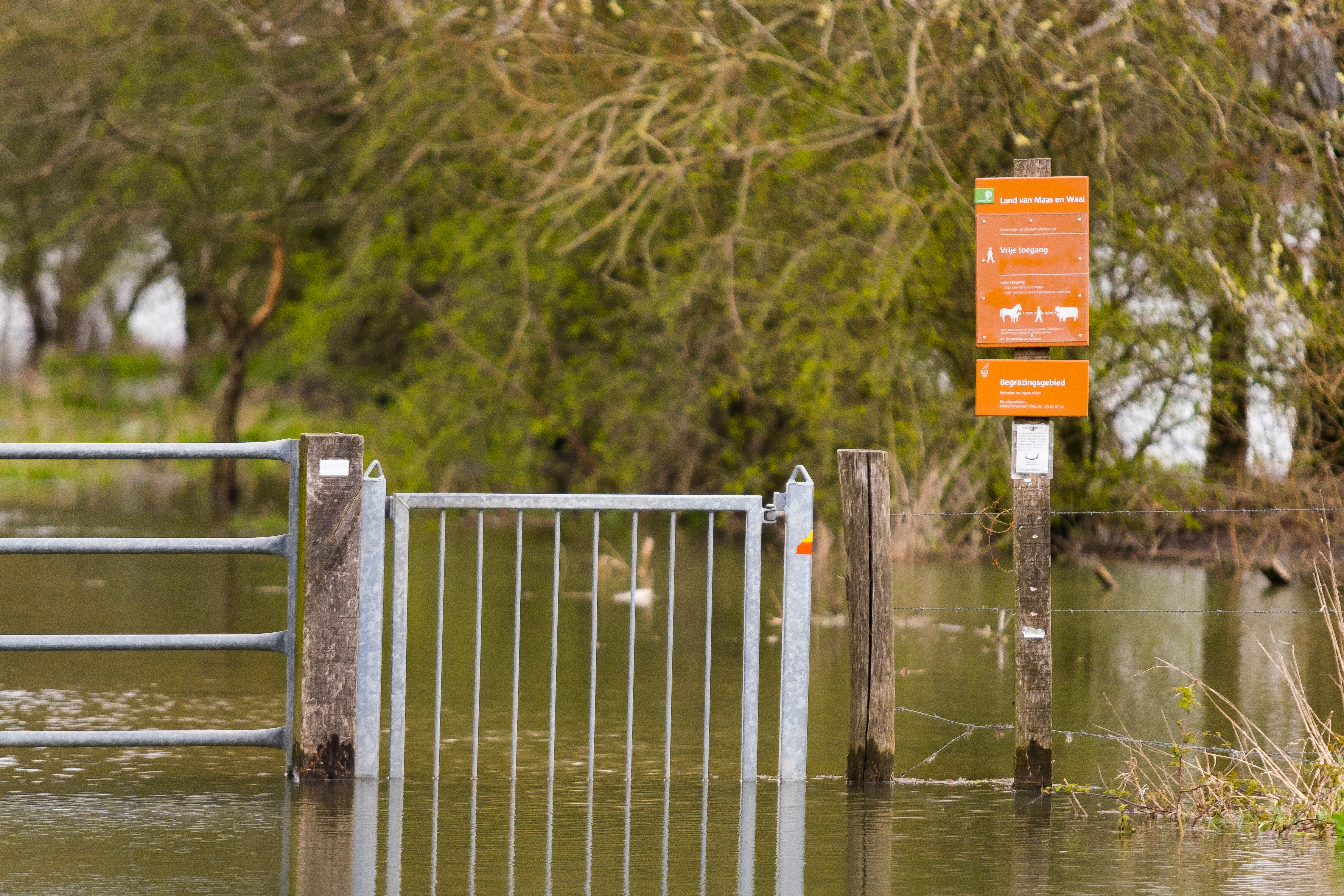 Hoogwater