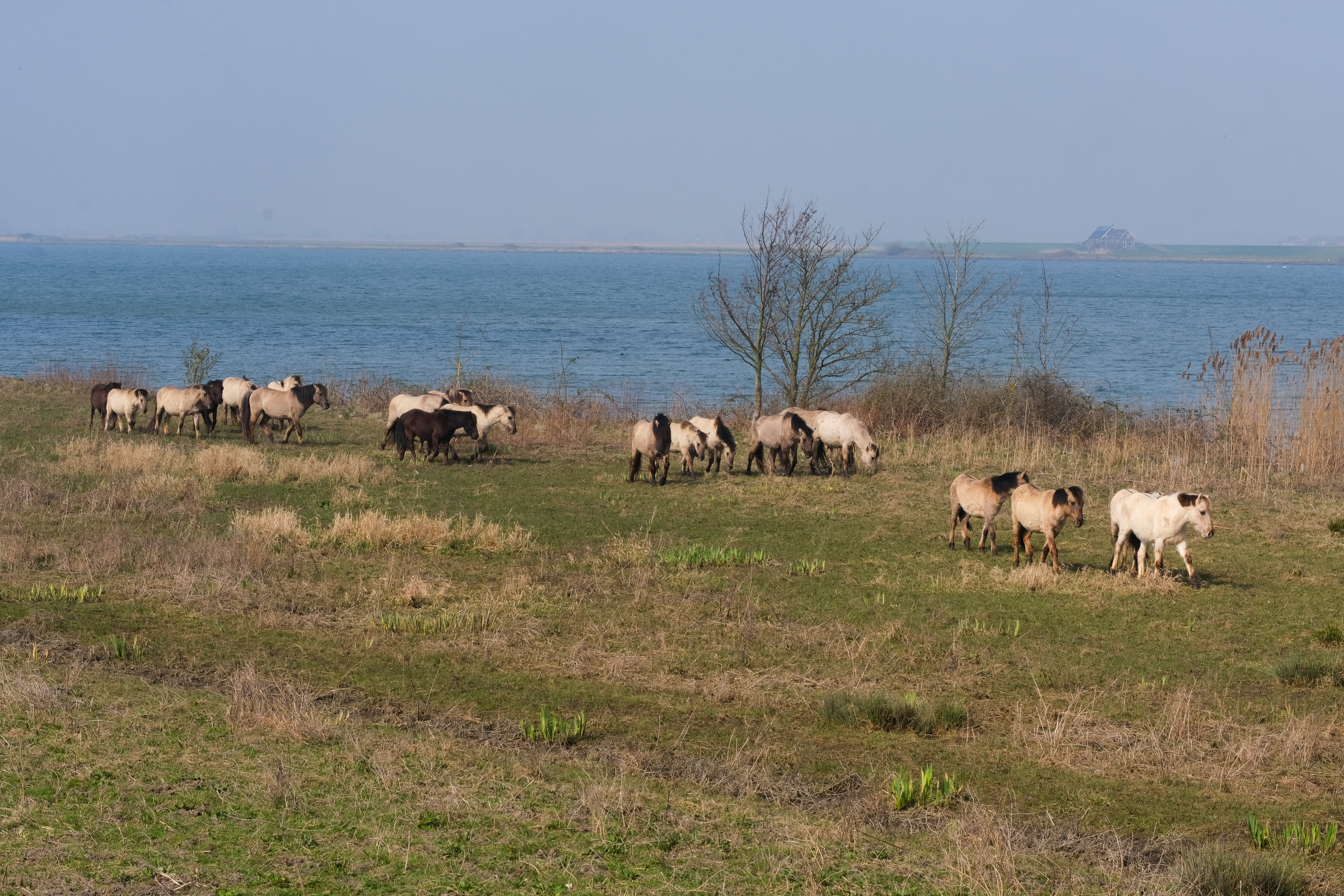 Tiengemeten