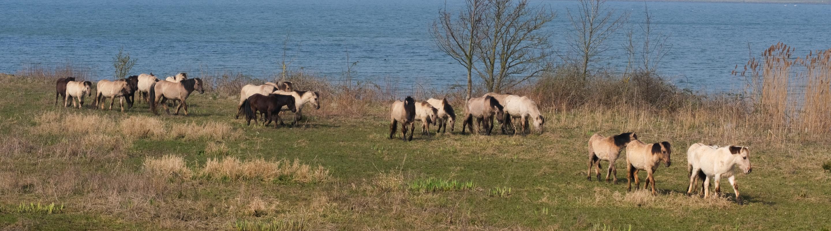 Tiengemeten