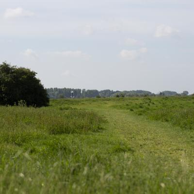 Kleine Willemswaard in Tiel